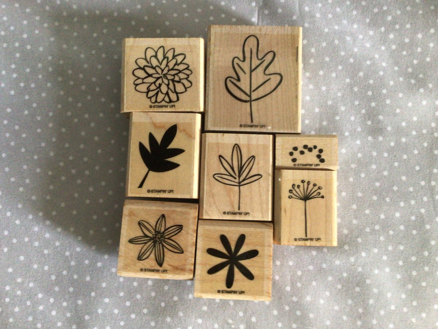 Retired Stampin Up! Stamp set Two-Step Fall Flair
