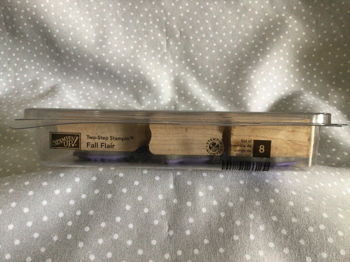 Retired Stampin Up! Stamp set Two-Step Fall Flair