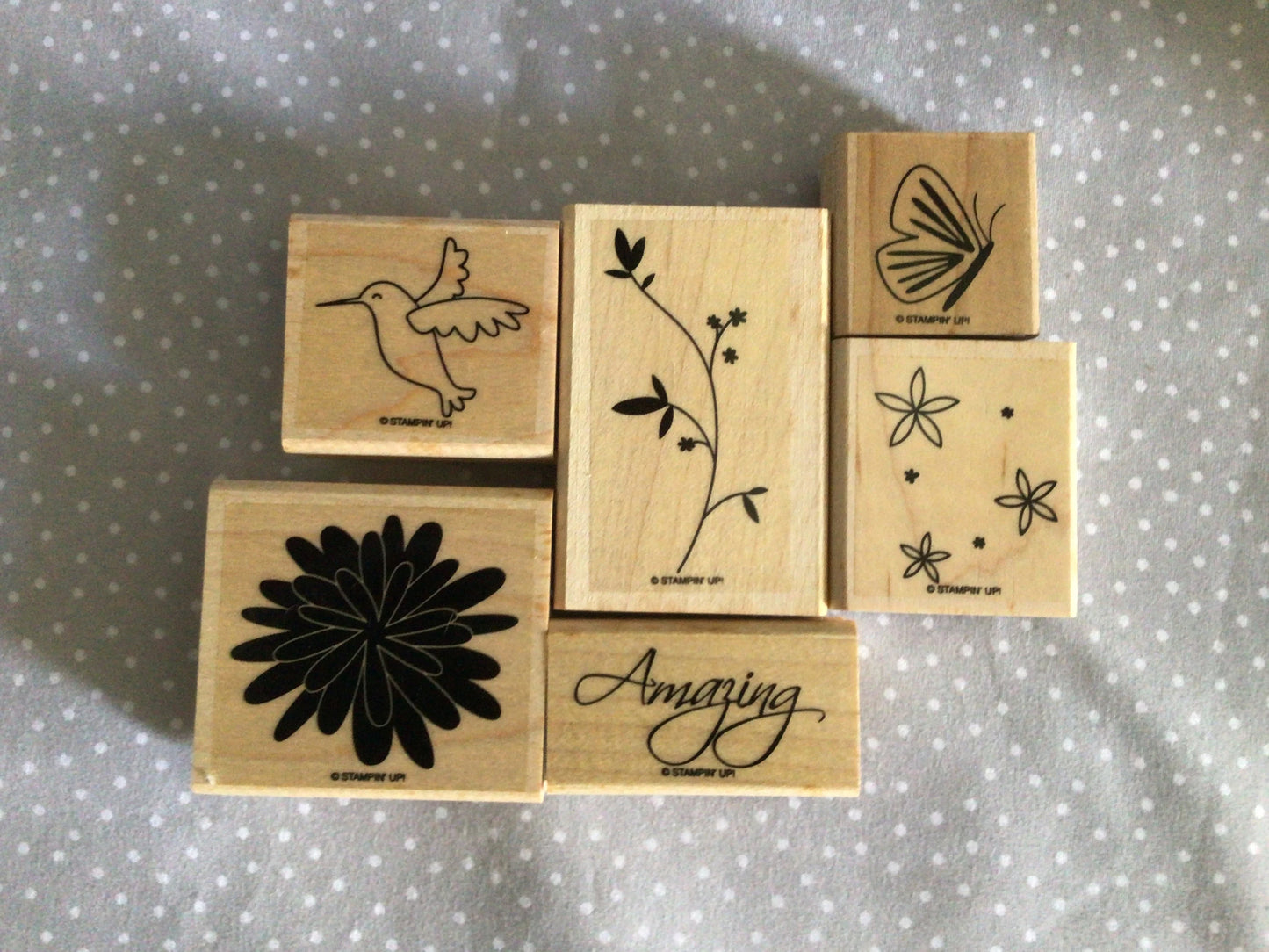 Humming Bird, Pretty Amazing Retired Stampin Up! Stamp set, Wood mount set of 6