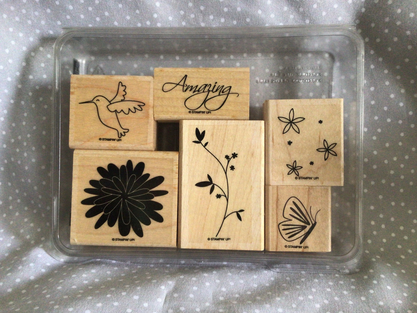 Humming Bird, Pretty Amazing Retired Stampin Up! Stamp set, Wood mount set of 6