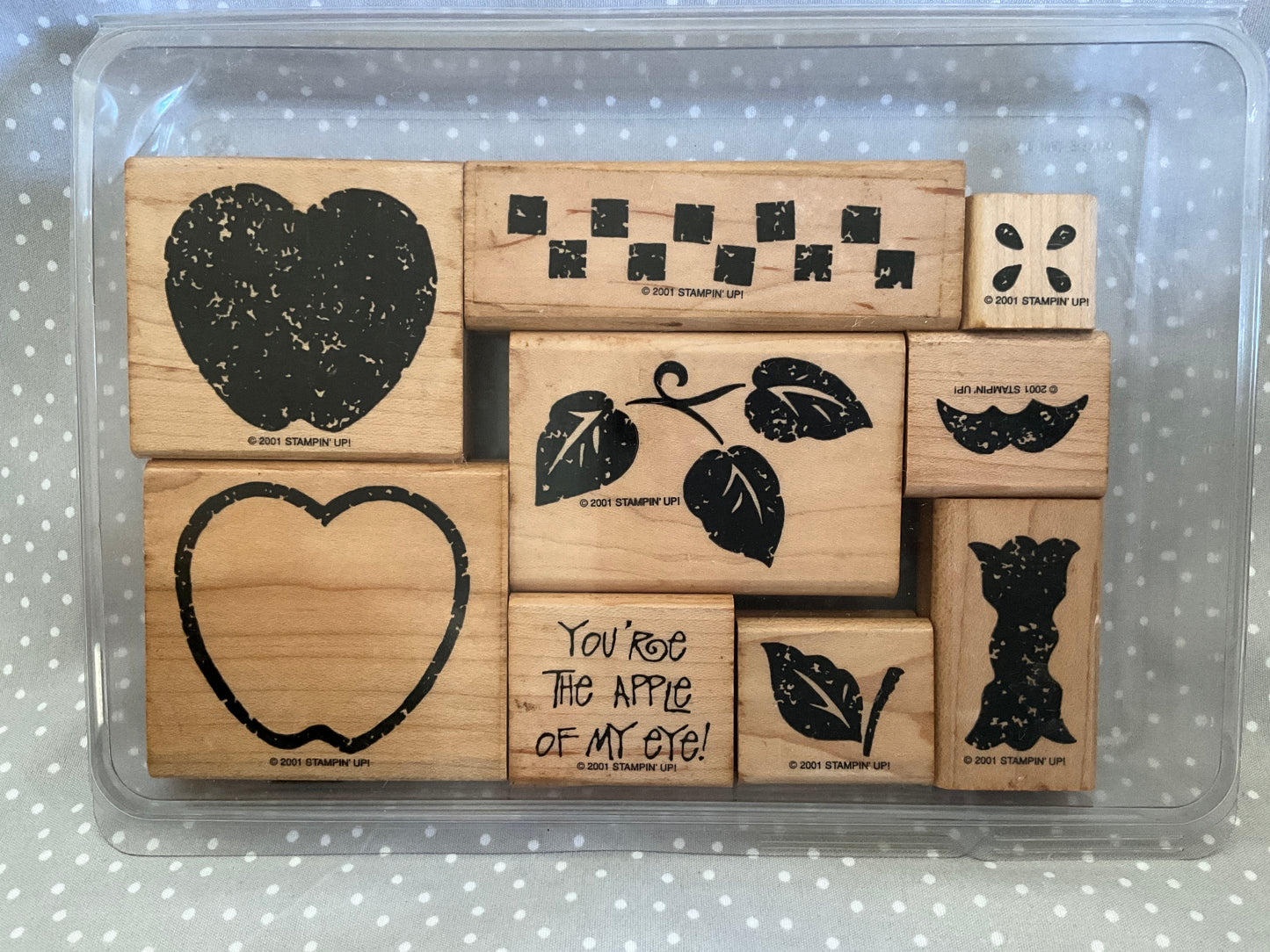 Retired Stampin Up! Stamp set Definitely Decorative Country Apple- Set of 9 stamps