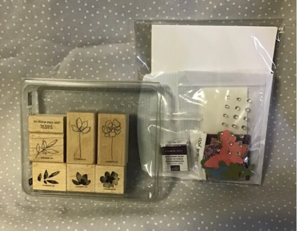 DIY card Kit & Retired Botanical Blooms stamp set