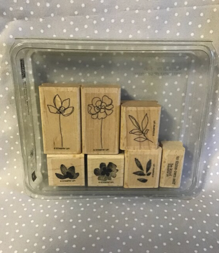 DIY card Kit & Retired Botanical Blooms stamp set
