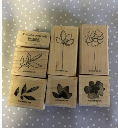 DIY card Kit & Retired Botanical Blooms stamp set