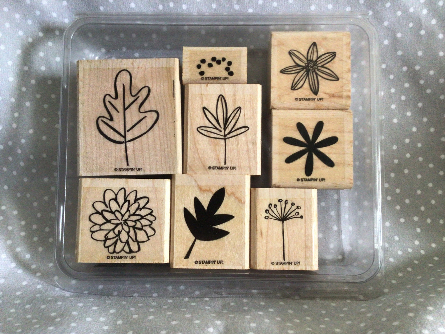 Retired Stampin Up! Stamp set Two-Step Fall Flair