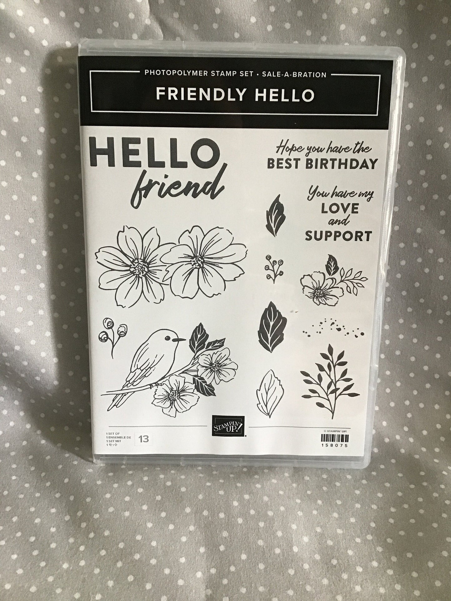 Retired SALE-A-BRATION Stampin Up! Friendly Hello- Photopolymer stamp set