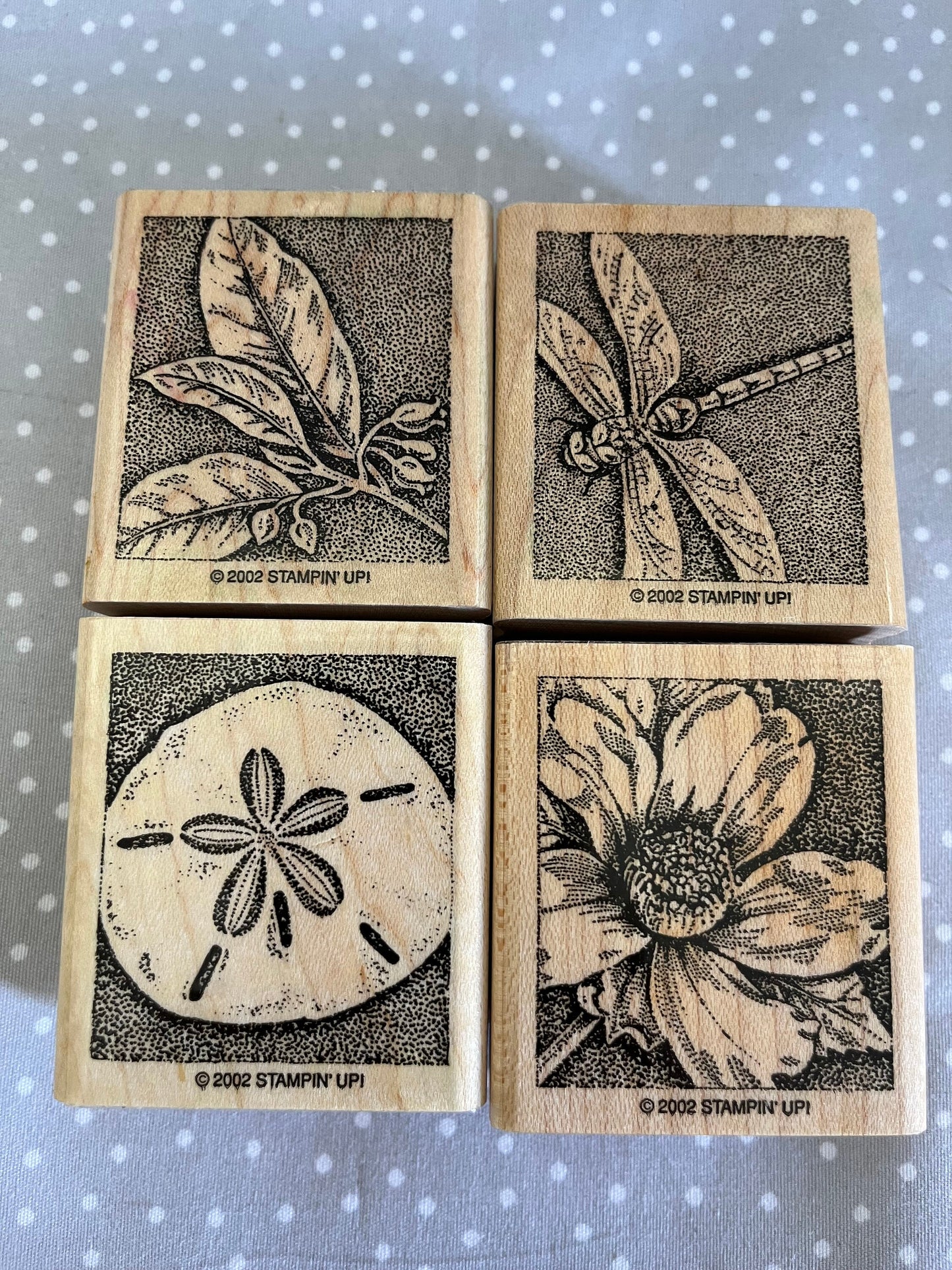 Retired 2002 Stampin Up! Stamp set Nature's Wonders set of 4