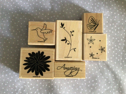 Humming Bird, Pretty Amazing Retired Stampin Up! Stamp set, Wood mount set of 6