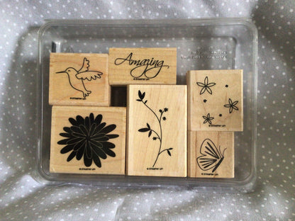 Humming Bird, Pretty Amazing Retired Stampin Up! Stamp set, Wood mount set of 6