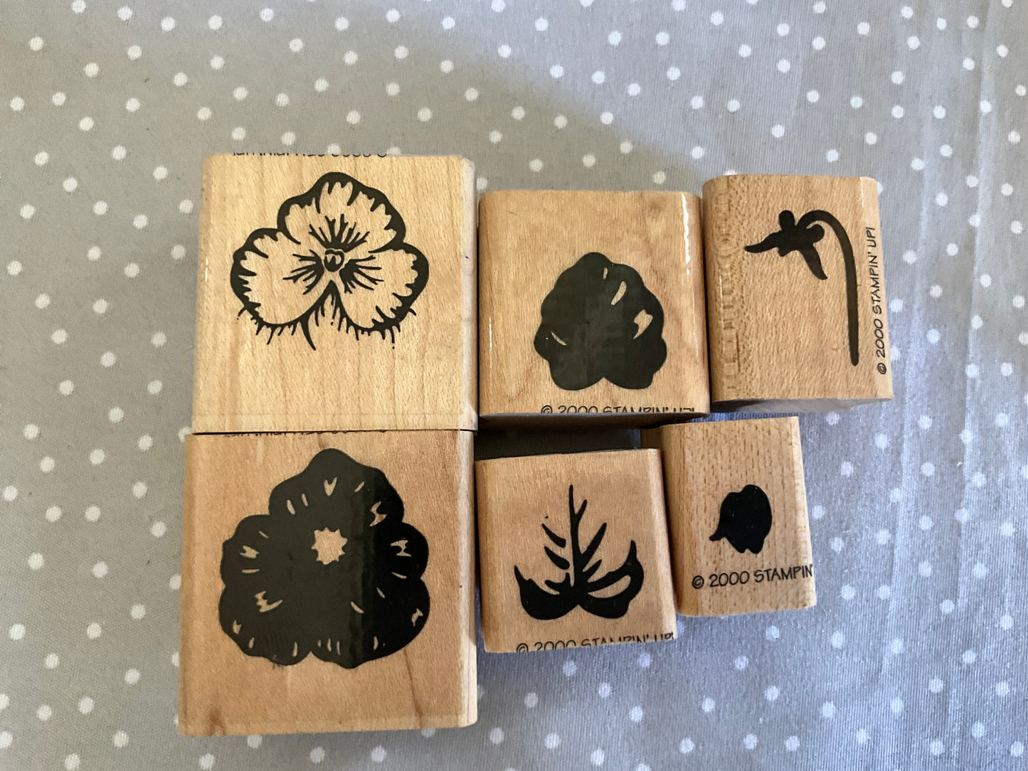 Retired Stampin Up! Stamp set Spring Pansy - Set of 6 stamps